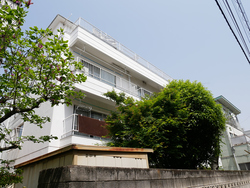 mansion-images
